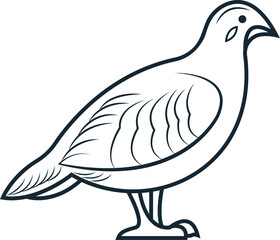 bird logo design