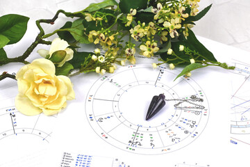 Printed astrology birth chart and white flowers and pendulum , workplace of astrology, spiritual,...