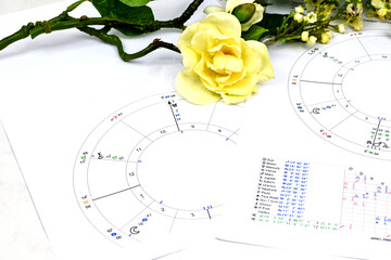 Close up of printed astrology birth chart, table of aspects and white flowers, workplace of...
