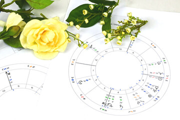 Close up of printed astrology birth chart, table of aspects and white flowers, workplace of astrology, spiritual, The callings, hobbies and passion, blueprints and life mapping.