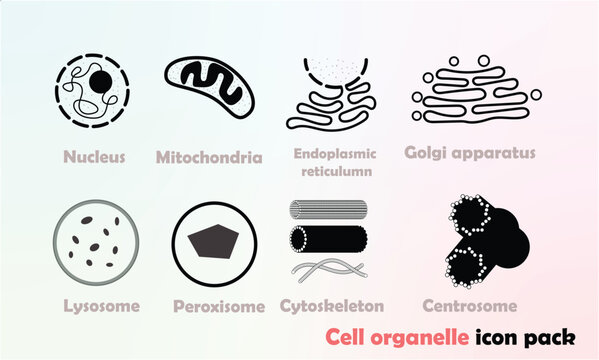 cell organelle icon pack