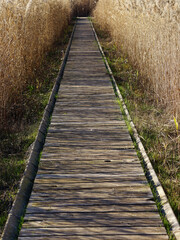 Obraz premium camino