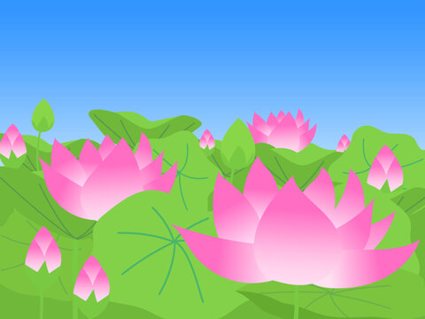 蓮の花が青空の下で咲いている（二十四節気の小暑のイメージ）