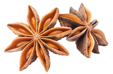 Delicious star anise spice cut out