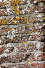 A close-up of an old brick wall
