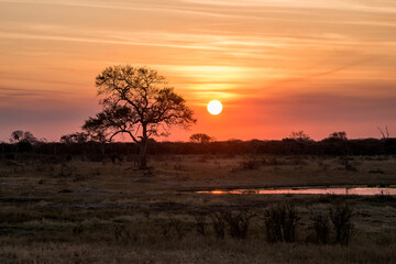 sunset in the serengeti