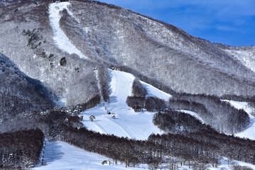 黒姫山ゲレンデ(Mt. Kurohime ski resort)

Nikon D750     AF-S NIKKOR 24-120mm f/4G ED VR