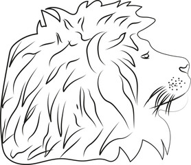 lion head outline