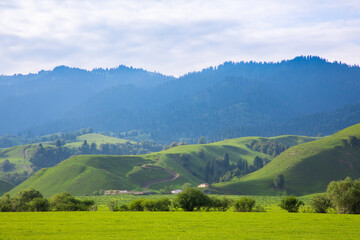 Obraz premium Scenery of Nalati Grassland in Xinjiang, China