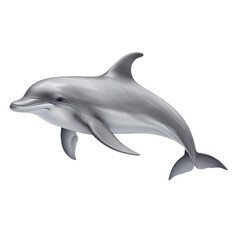 dolphin (ocean marine animal) isolated on transparent background cutout - obrazy, fototapety, plakaty