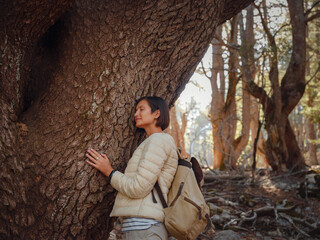 asian woman enjoys being in nature, beautiful forest in mountains. embracing fresh air and engaging in outdoor activities. Friluftsliv concept means spending as much time outdoors as possible