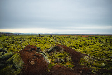 Volcanic zone iceland landscape with mossy rock formations and mountains