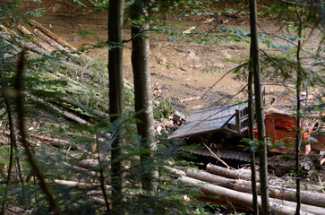 Illegal logging in Carpathians. Lumber carrier unloading stolen tree trunks on a forest glade. Ukraine
