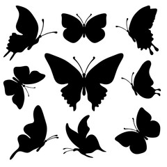 Set of silhouette black butterflies on white background. Vector