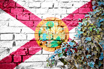 Florida grunge flag on brick wall with ivy plant