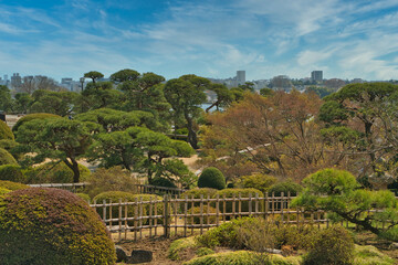 美しい日本庭園の風景