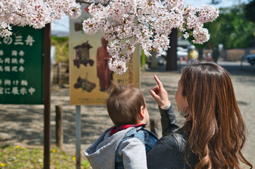 桜の花びらを眺める親子