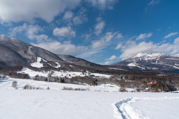 黒姫山と妙高山(Mt.Myoukou  and Kurohime)

Nikon D750     AF-S NIKKOR 24-120mm f/4G ED VR