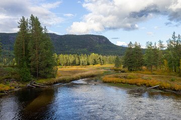 Numedalslågen, one of the longest rivers in Norway.