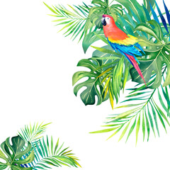 A tropical composition of palm branches and a red Macaw parrot. Watercolor illustration. Exotic birds. Monstera. Banana leaves.