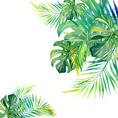 Monstera leaves, palm branch, leaves. Watercolor illustration. Tropical plants. Tropical nature.