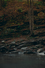 the bank of a mountain river