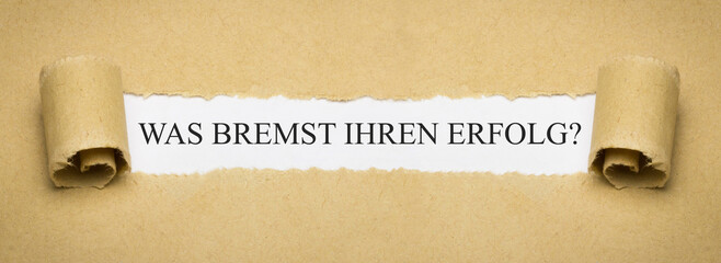 Was bremst Ihren Erfolg?