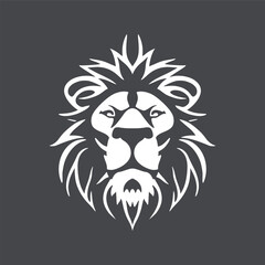 Vector illustration of a lion`s head