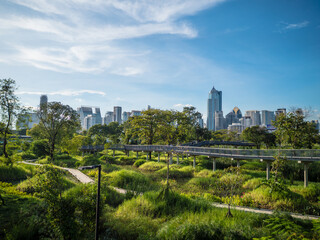 A panoramic view of Benjakitti Forest Park with the Bangkok cityscape in the background, Thailand.