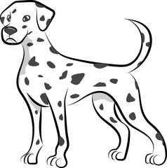 standing dalmatian dog