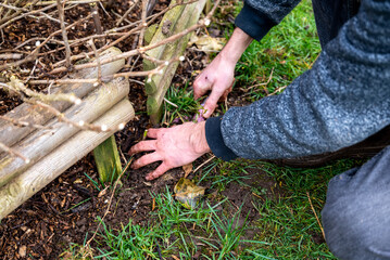 wood chips for the garden. Close up of recycle wood. Wood for soil enrichment. Place to put text. Ecology concept for gardening