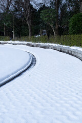 Fototapeta na wymiar 雪の降った公園の風景 鳥取県 布勢運動公園
