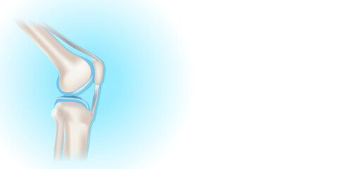Knee joint with healthy cartilage on blue and white background with copy space for your text.