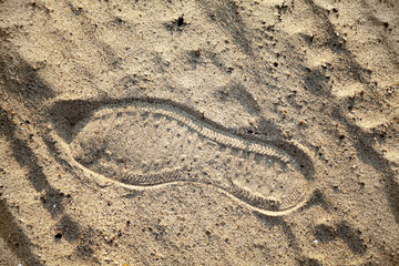 Fototapeta na wymiar Single shoeprint in a beach sand left by a person. Close-up of a footprint made with a sneaker in a desert