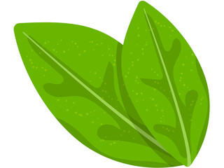 Leaves flat icon