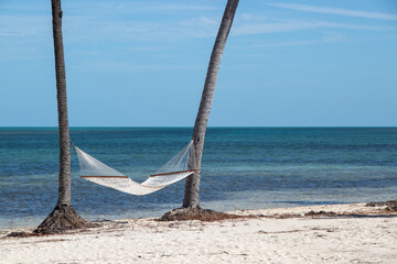hammock at the beach between two trees