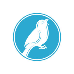 Elegant bird logo icon design and symbol