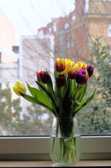Bright and colourful tulips in a vase. Beautiful and tender flowers create perfect spring mood.