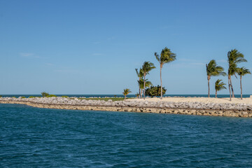 palm trees on a breakwall on a tropical island