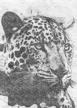 Digital illustration of a Jaguar. Generative Ai
