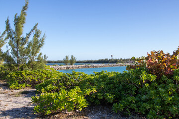 tropical landscape by the sea