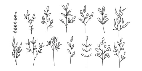 Set of vector linear flowers in graphics. Collection of vector wildflowers and herbs in a linear style. Isolated flowers on a white background