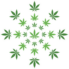 Green Cannabis Leaves in Circle vector icon set