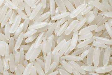 Rice white raw long-grain, small seeds, background uniform texture, in bulk, close-up, top view