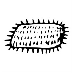 Vector illustration black and white door mat.