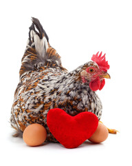 Chicken and heart.