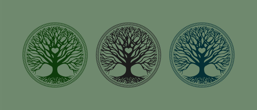 Vector monochrome silhouette of a large branched tree in a circle of rope, heart in the center. Emblem, logo or icon.