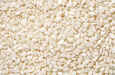 Sesame seeds, small grains, background uniform texture, in bulk, close-up