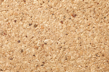 Crushed cork tree, smooth surface, background uniform texture, close-up
