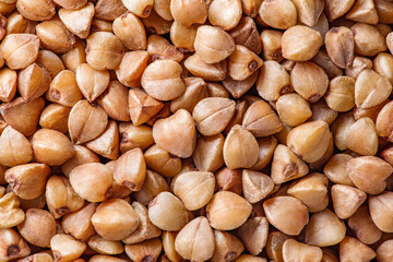 Buckwheat groats raw, small grains in bulk close-up, background wallpaper, uniform texture pattern